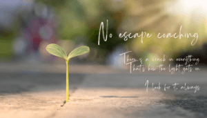 Human Design based coaching