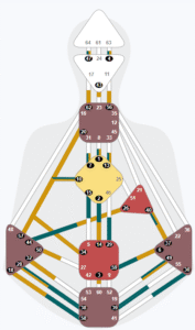 Human Design relationship chart 7 and 2